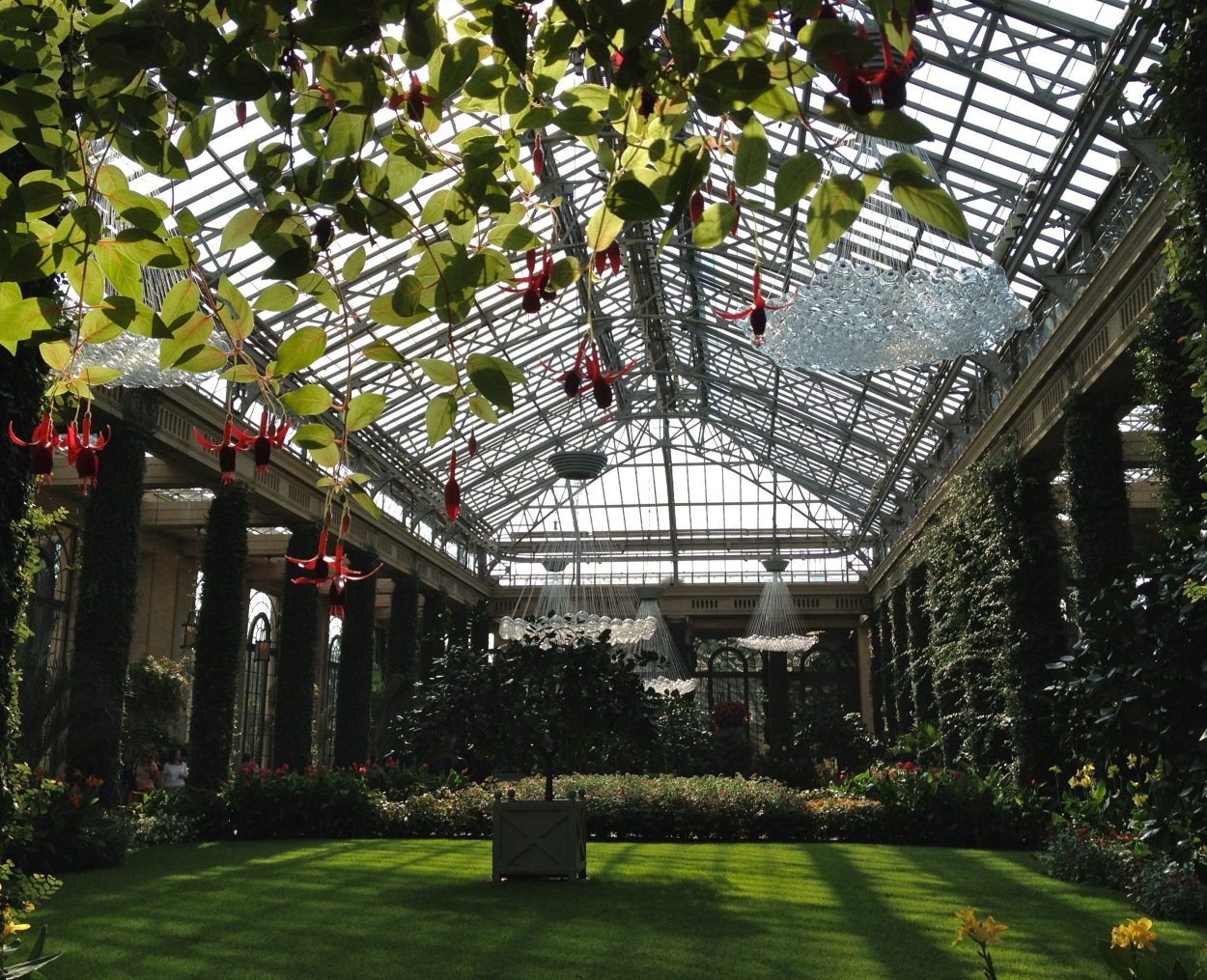 Оранжевая оранжерея