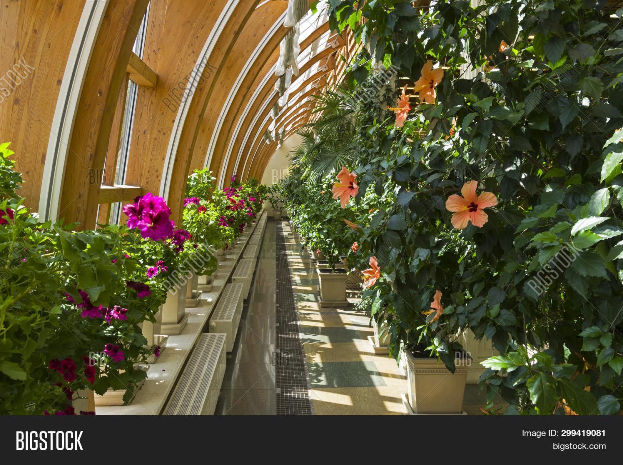 Оранжерея Ботанический зимний сад