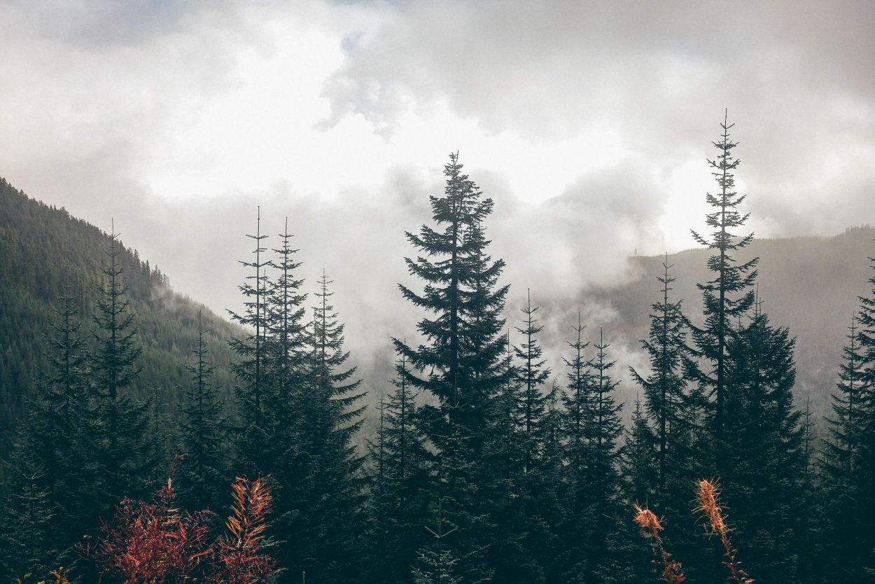 Красивые горы Эстетика