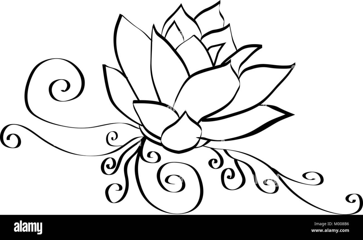 Чертеж цветка лотоса