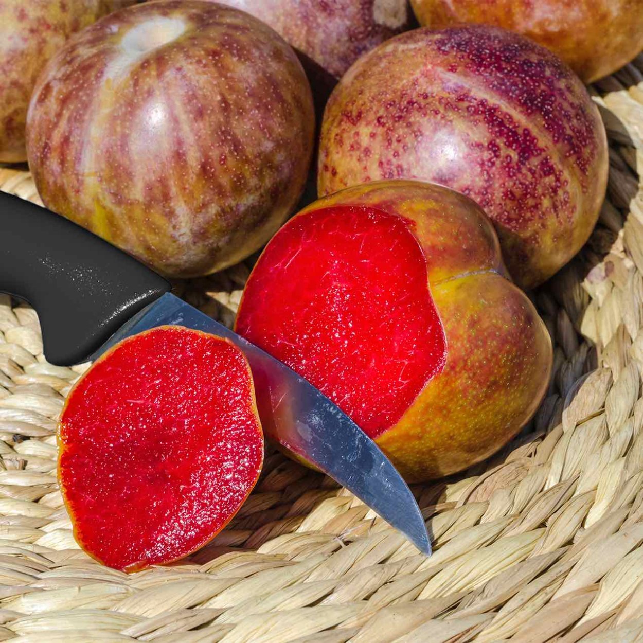 Шарафуга Белла Голд