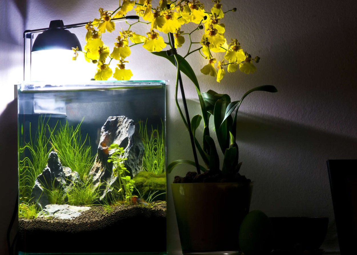 Аквариумы Eheim Nano