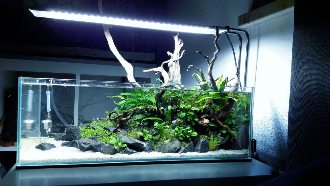 Голландский аквариум с корягами и камнями