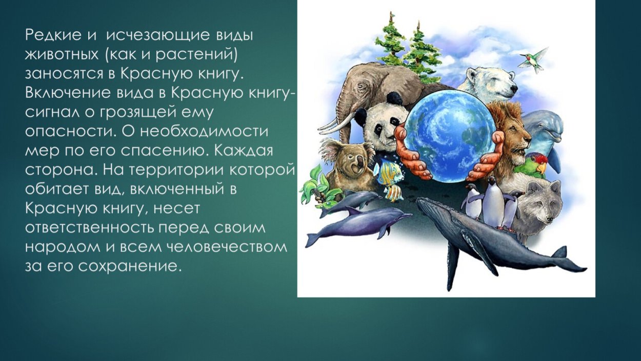 Вымирающие виды животных на английском