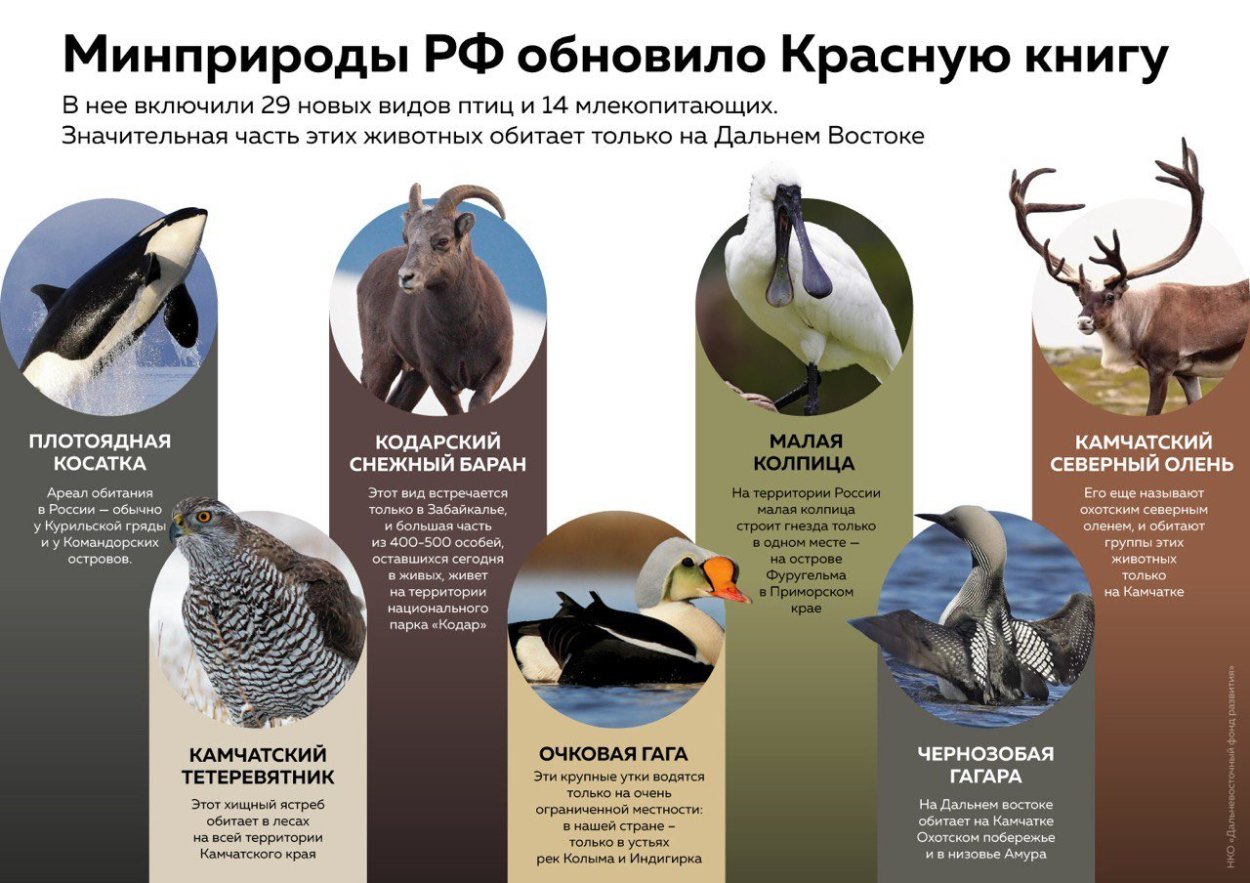 Животный мир планеты