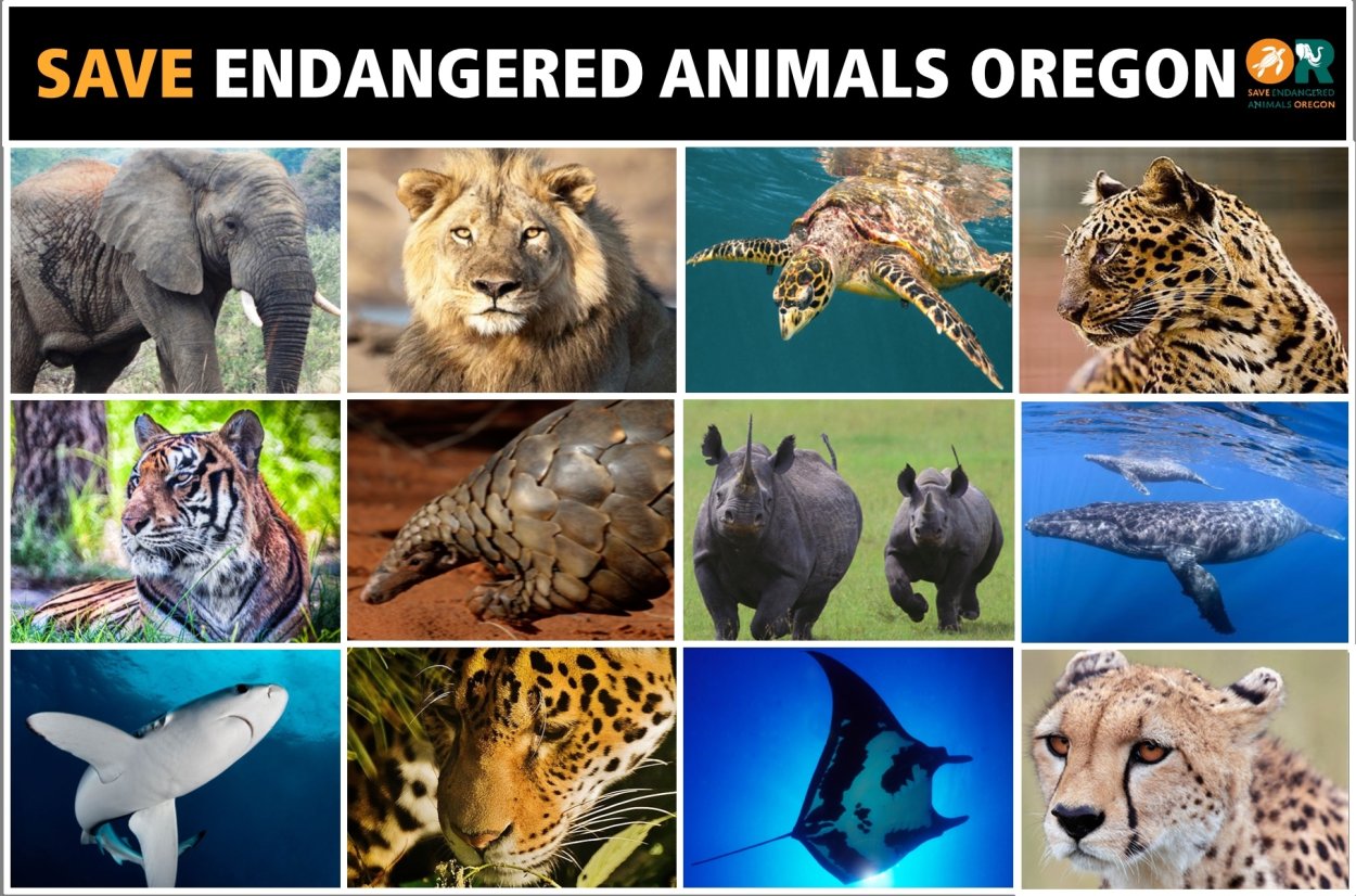 Вымирающие виды