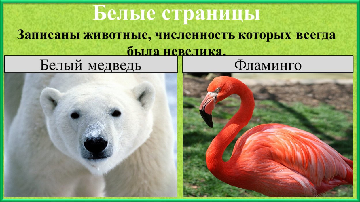 Звери Африки вымершие