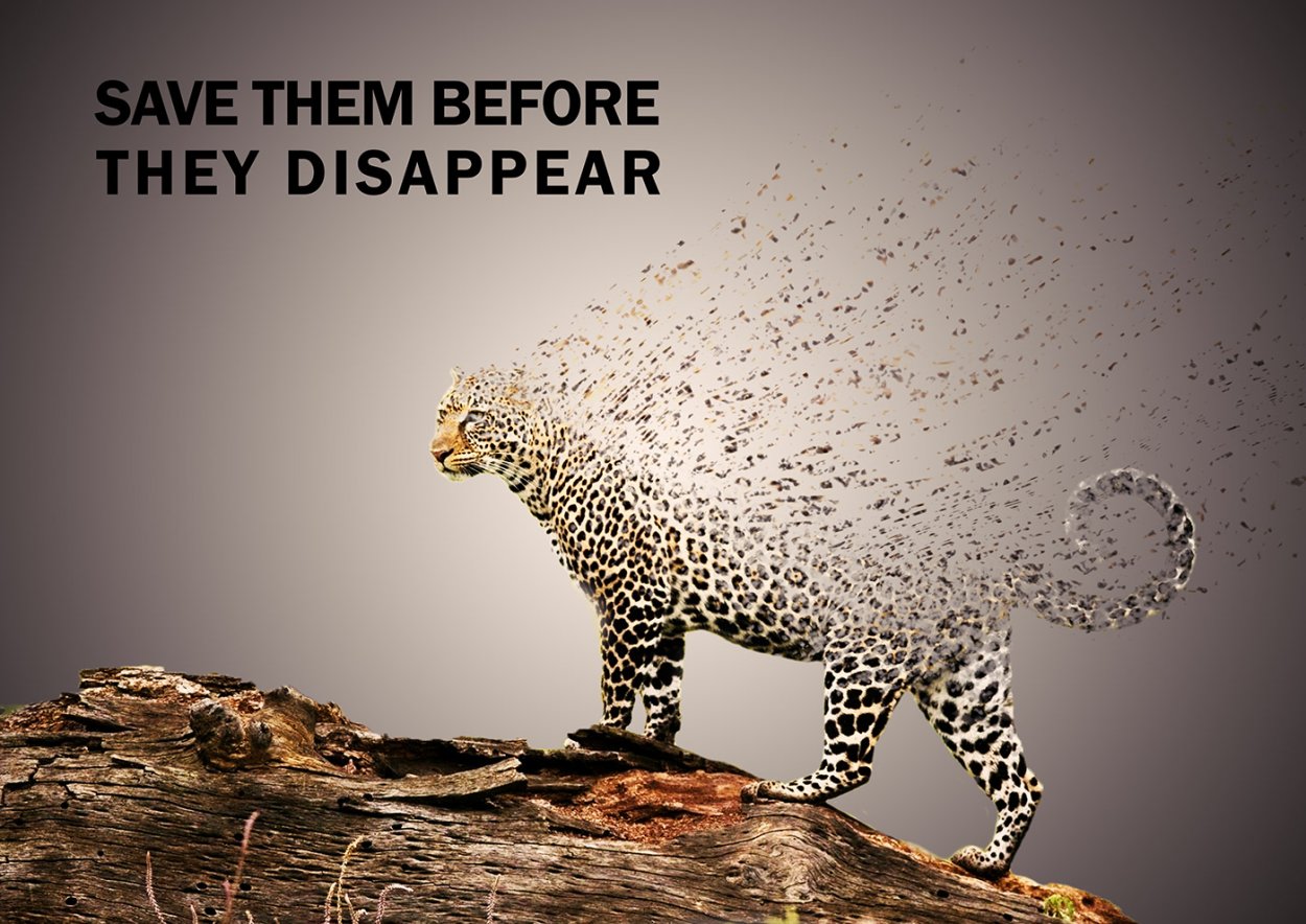 Extinct animals species