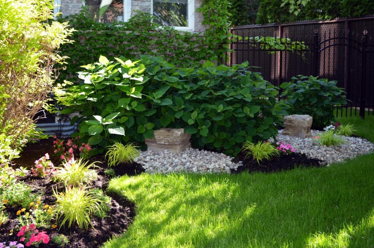 Ландшафтный дизайн небольшого тенистого участка