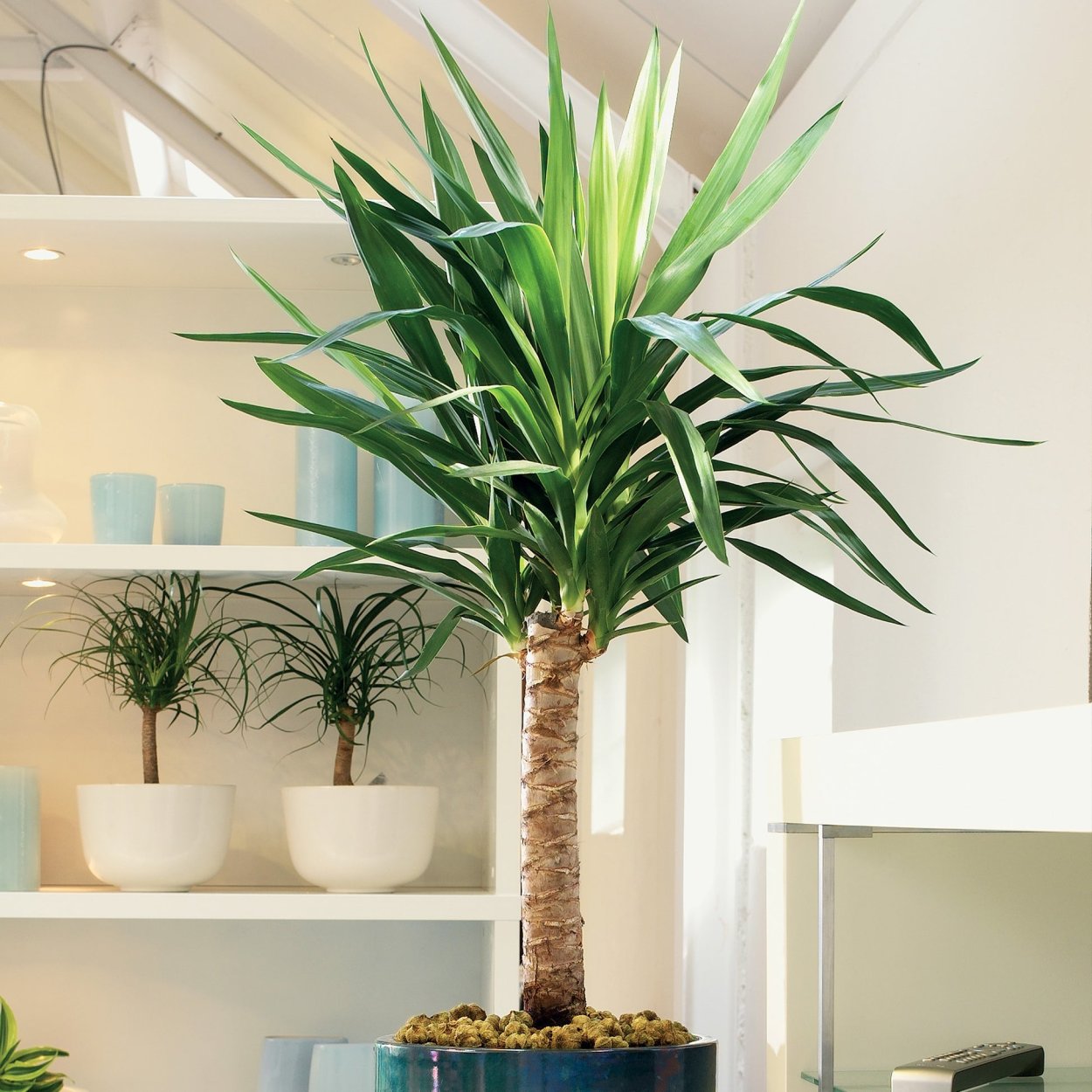 Юкка Виппла