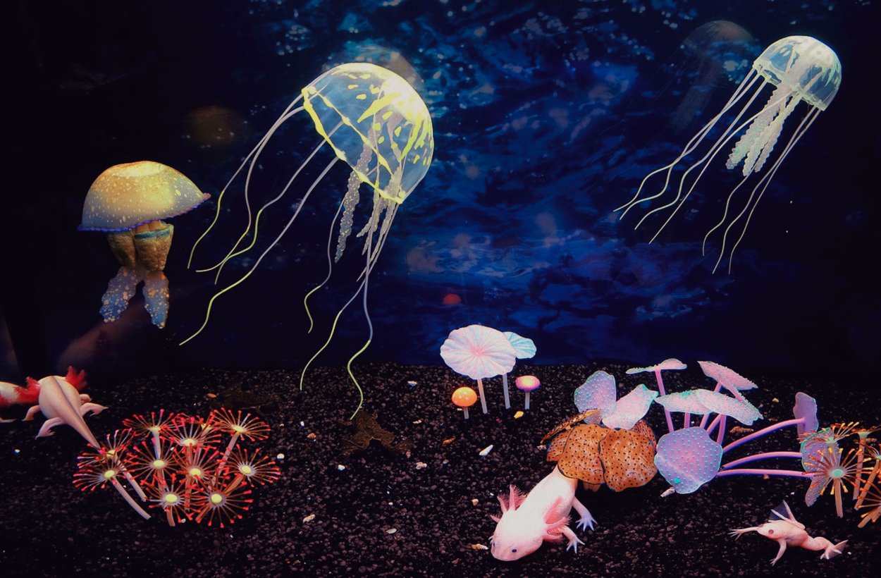 Морская биолюминесценция