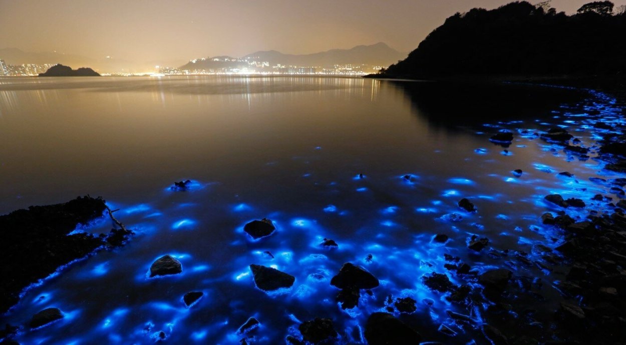 Остров Ваадху Мальдивы