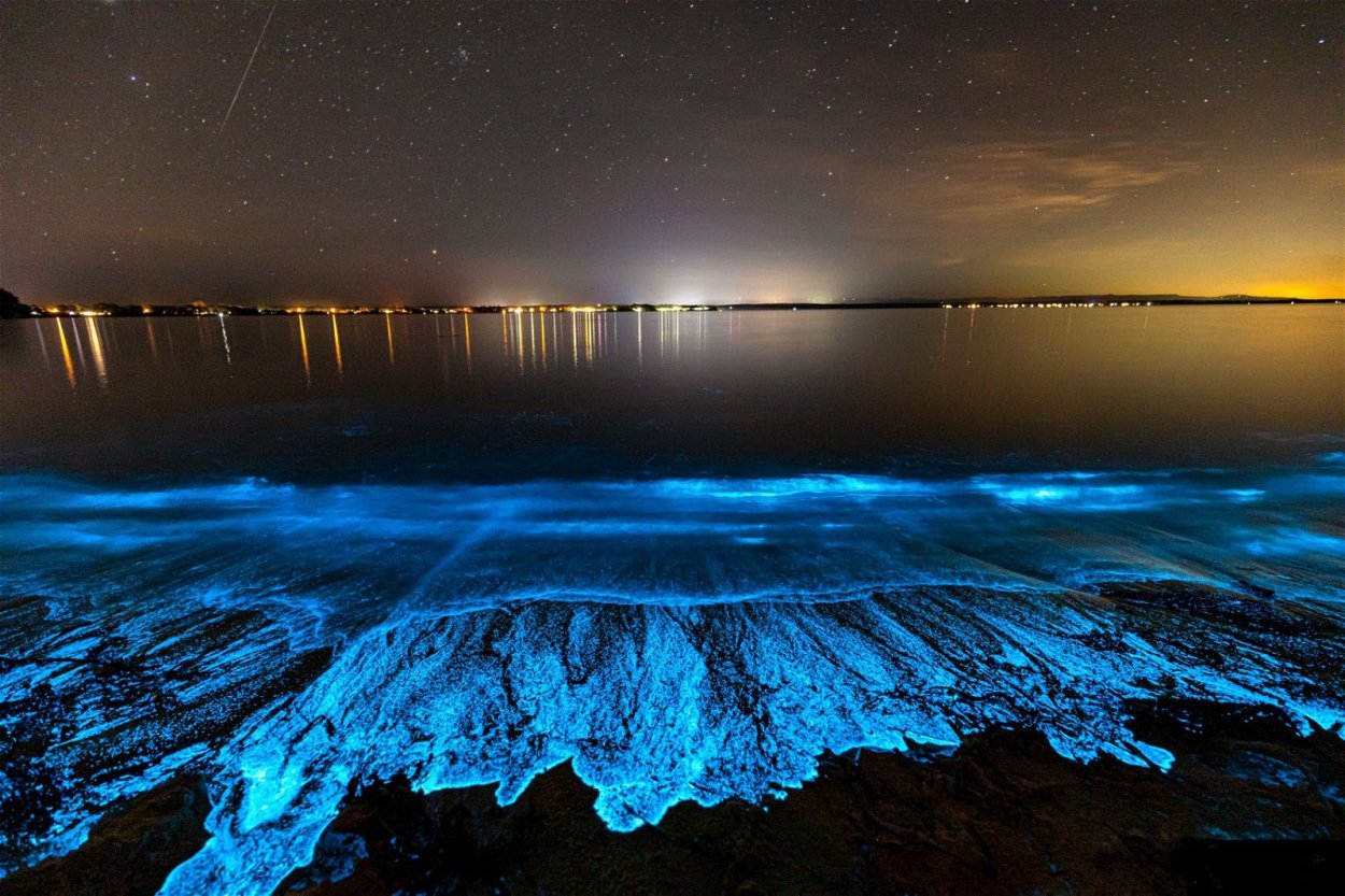 Фитопланктон Тихого океана