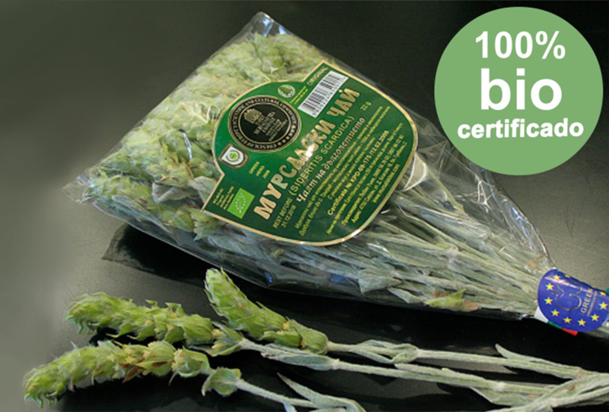 Железница Горная (Sideritis Montana l.) препараты