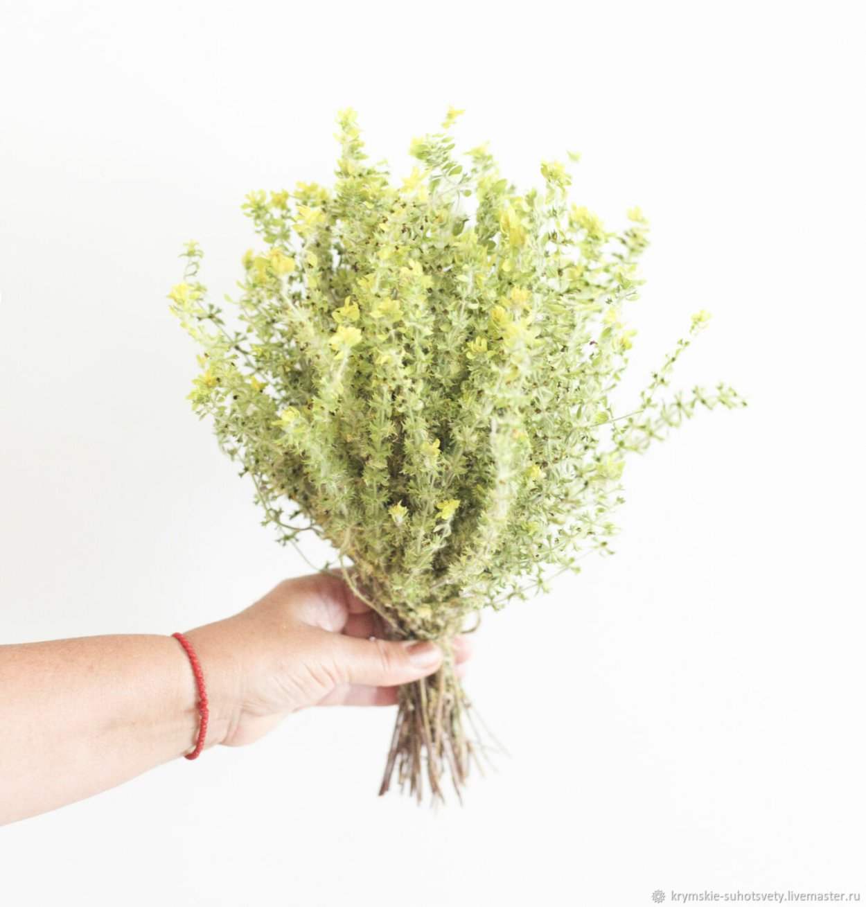 Трава Железница Греческая