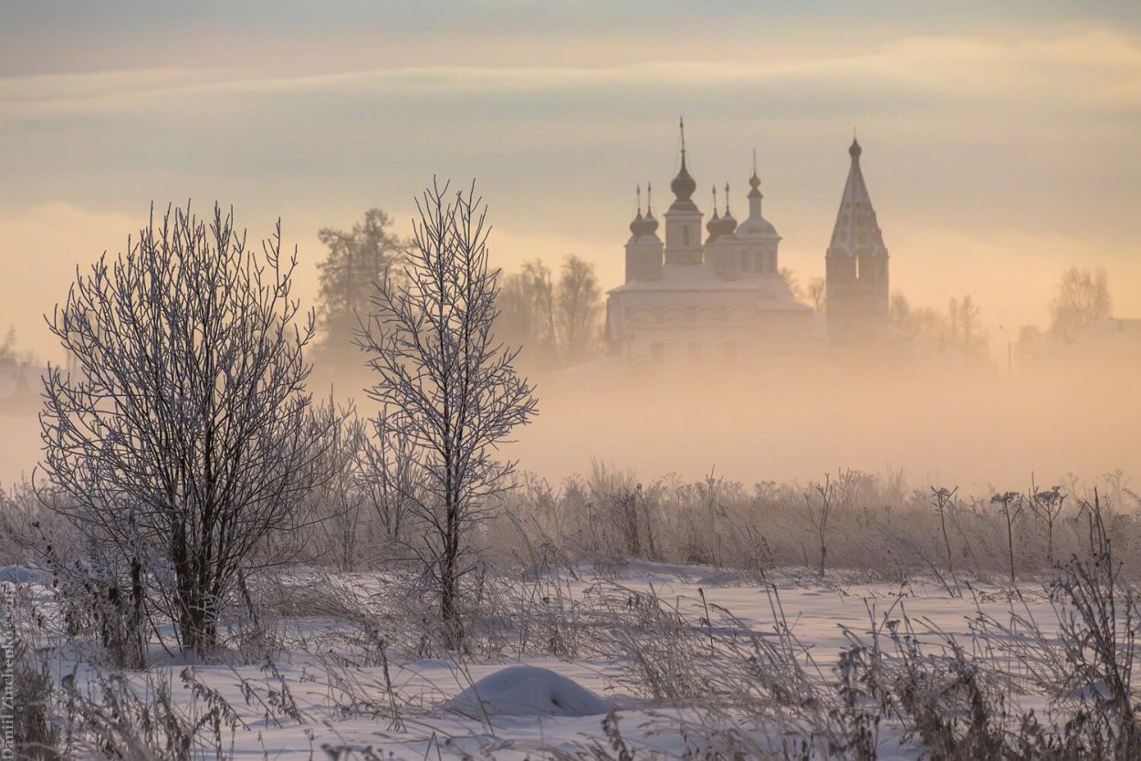 Ячмень гривастый (Престиж)
