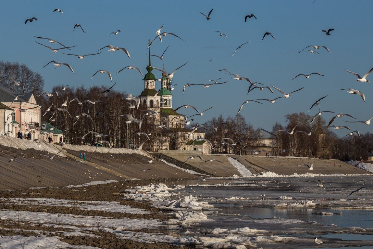 Река Полона