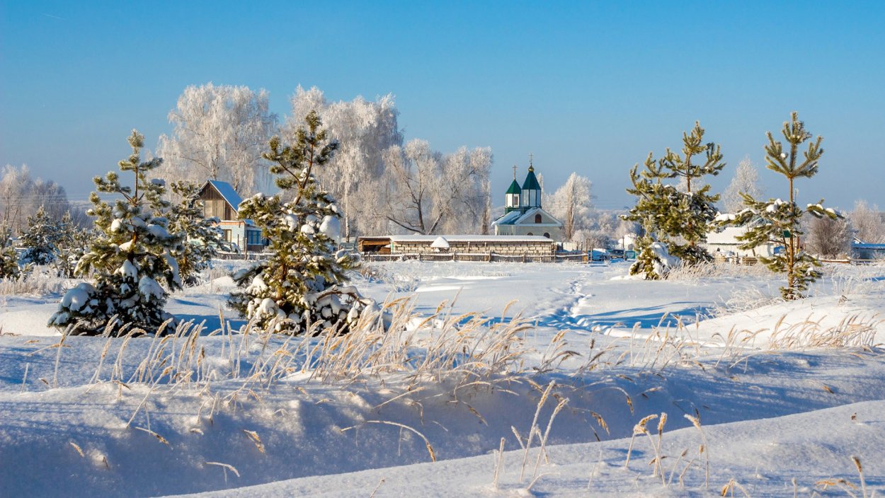 Села Липецкой области зима