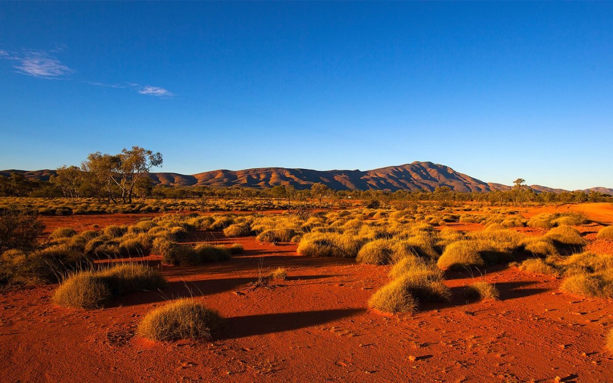 Северная Америка ландшафт полупустыня