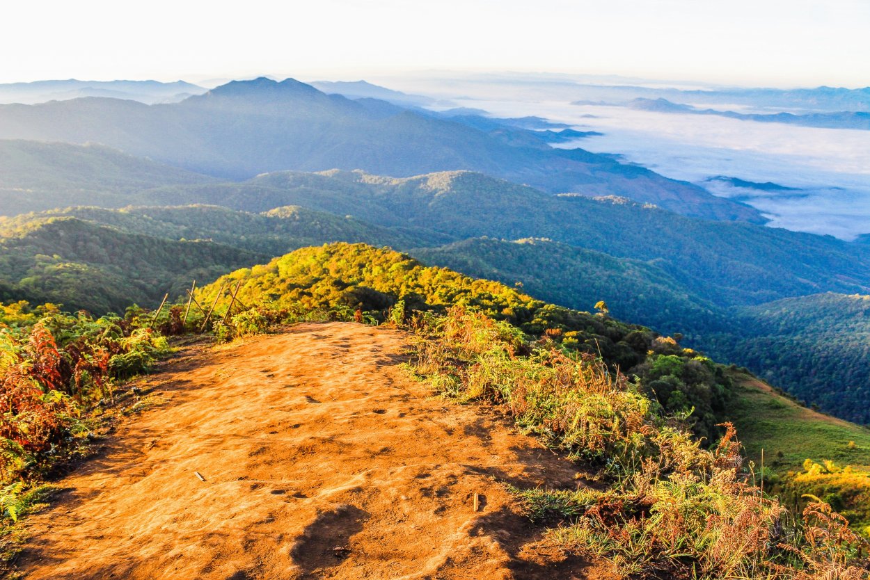 Чапараль биом