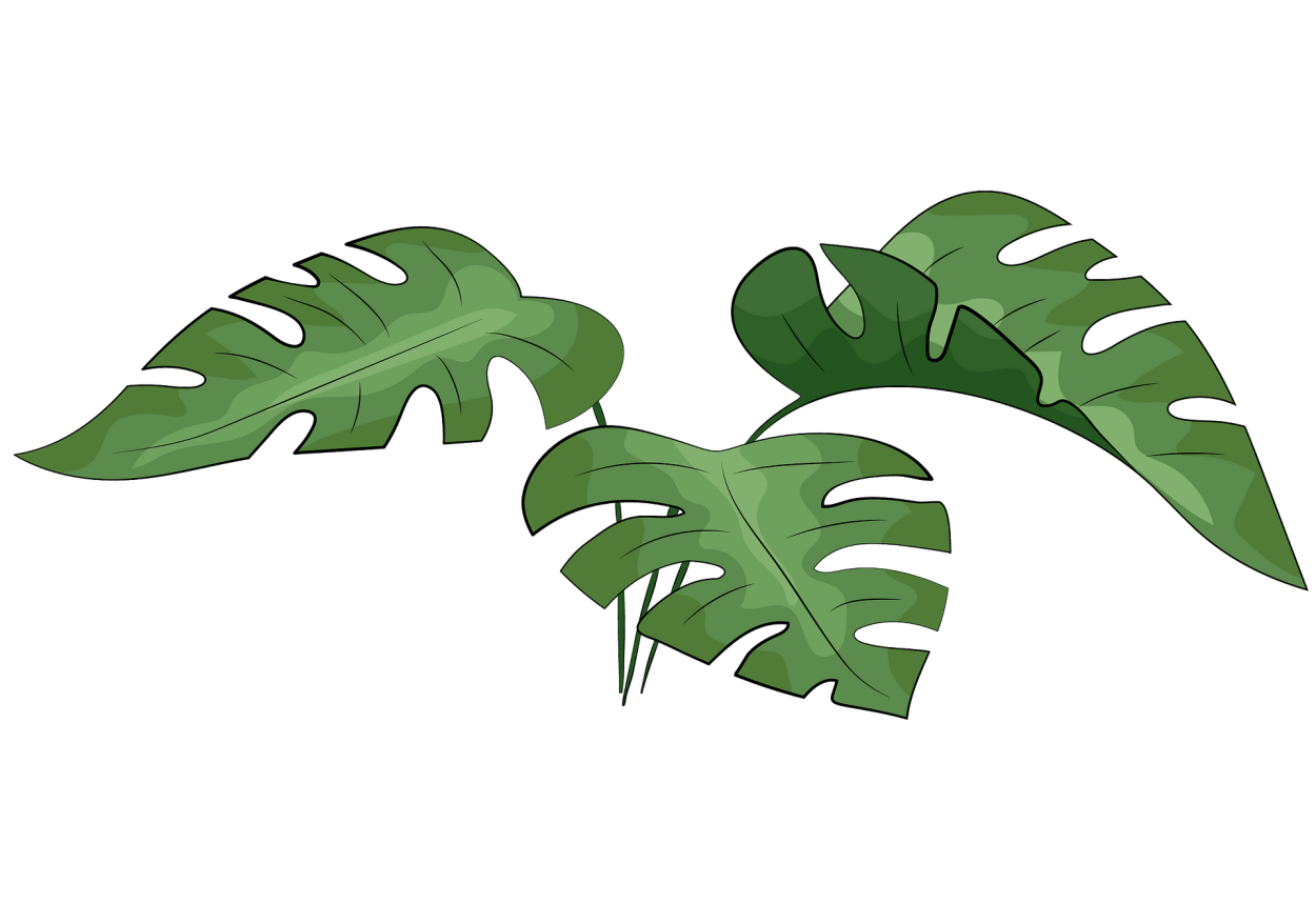 Гербарий листья