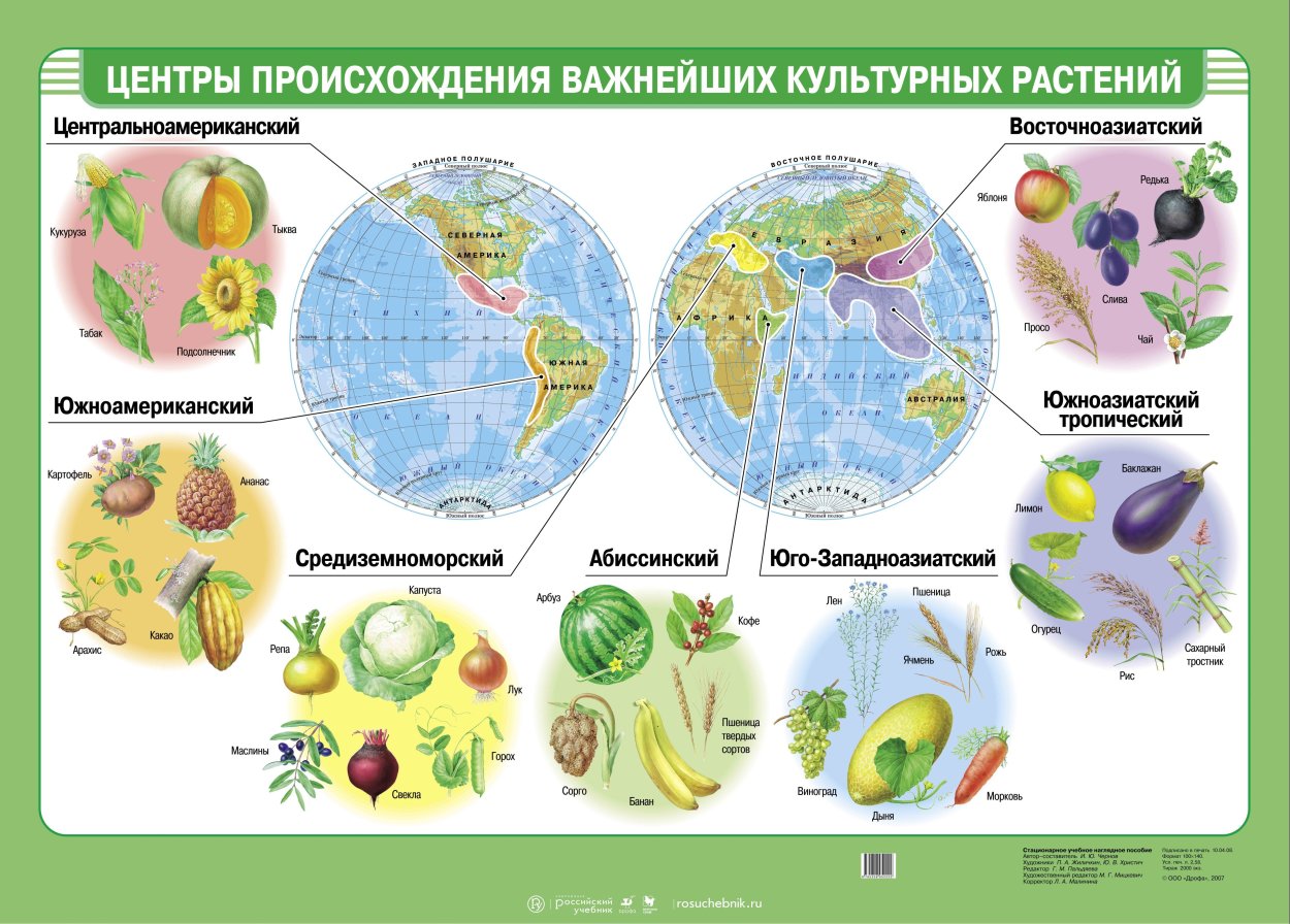 Сорта культурных растений - 69 фото