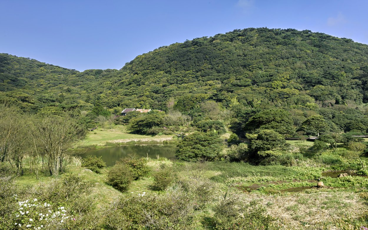 Жестколистные вечнозеленые леса и кустарники