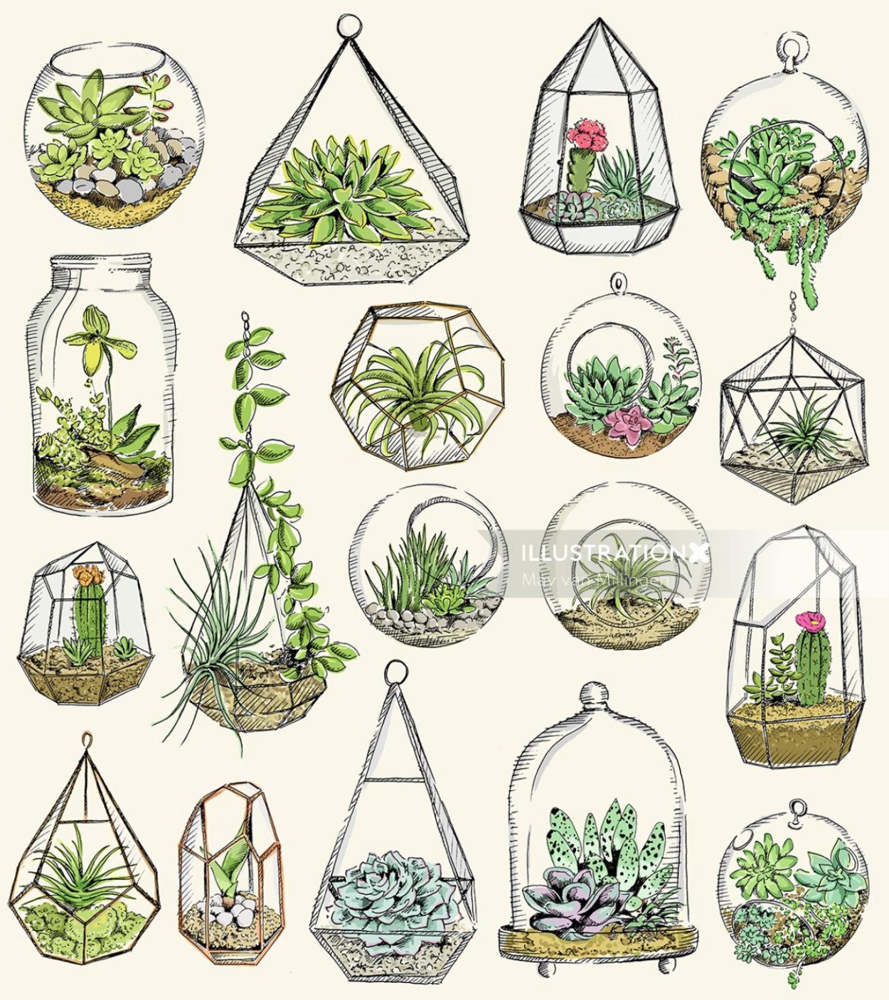 Флорариум скетч