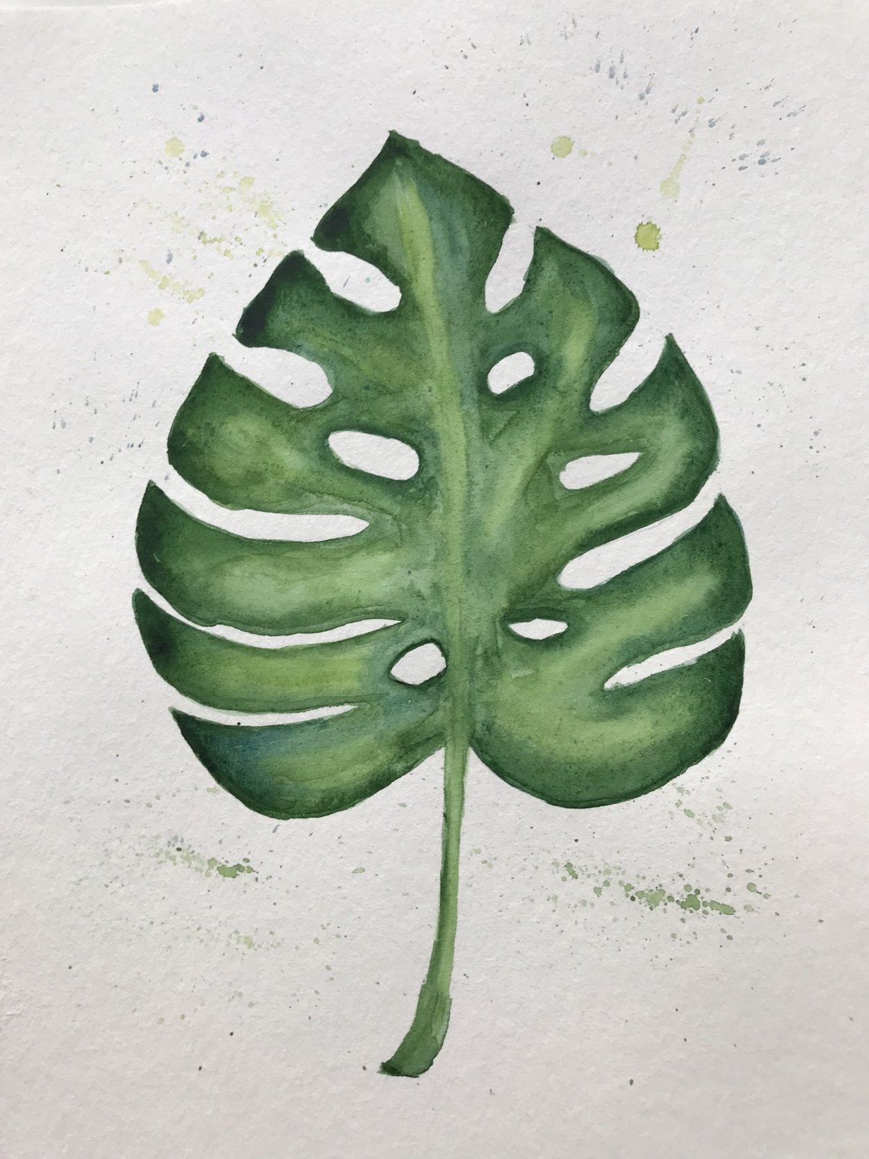 Монстера рисунок