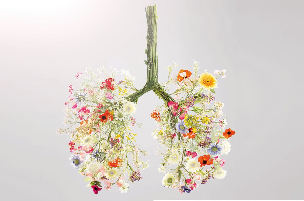 Легкие в цветах