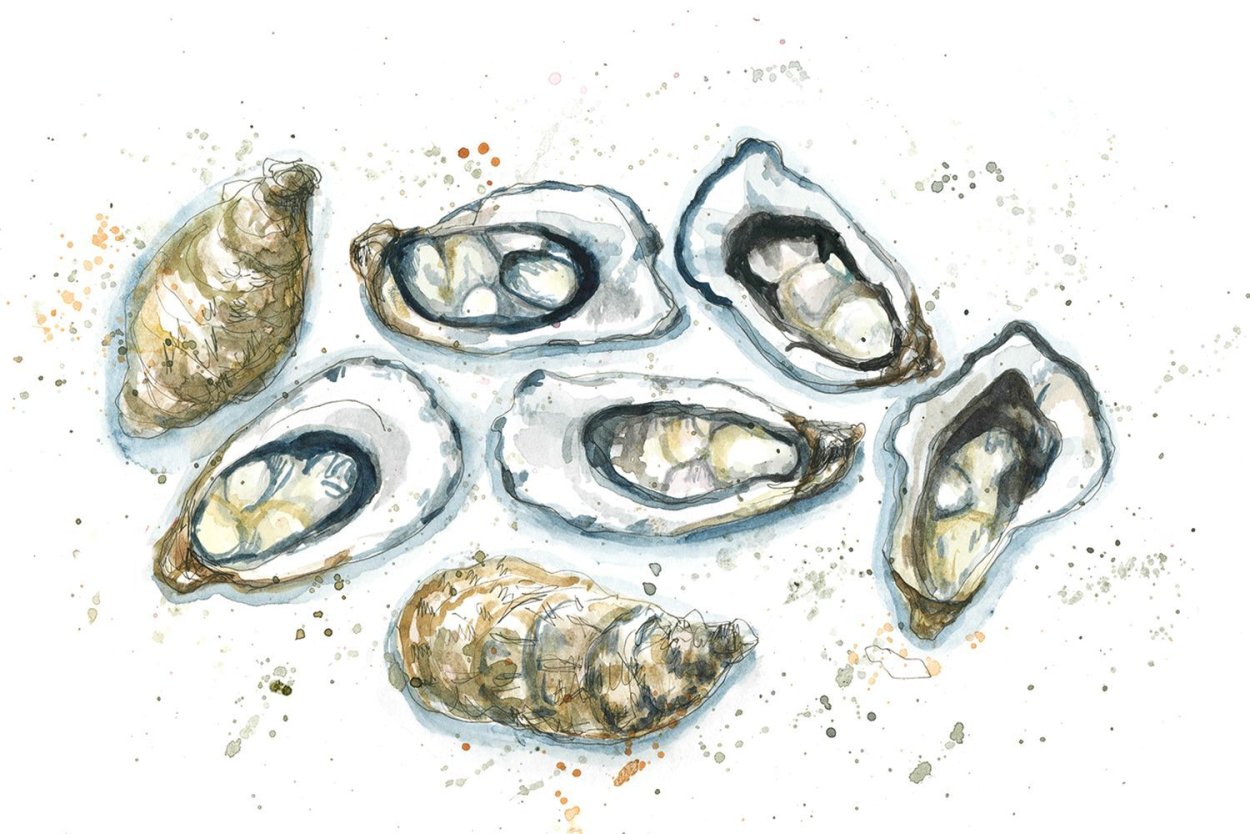 Устрица Джоли