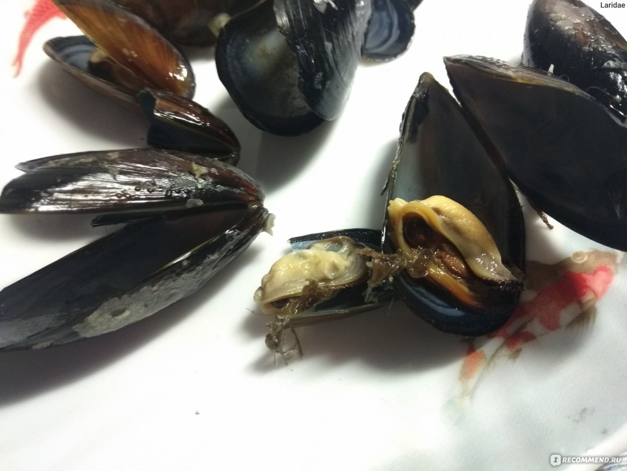 Аквапродукт мидии