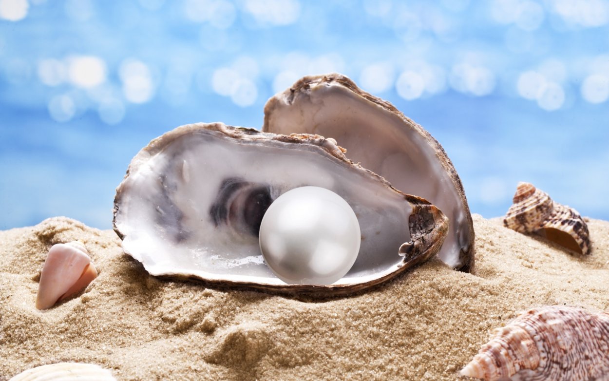 Мидийно устричная ферма Кацивели