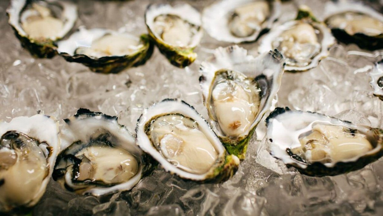 Морепродукты в раковине