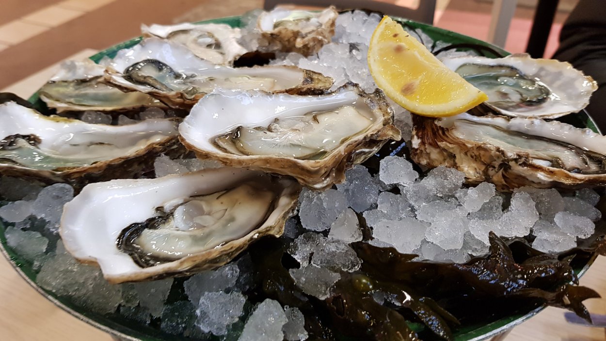 Ракушка Устрица вектор