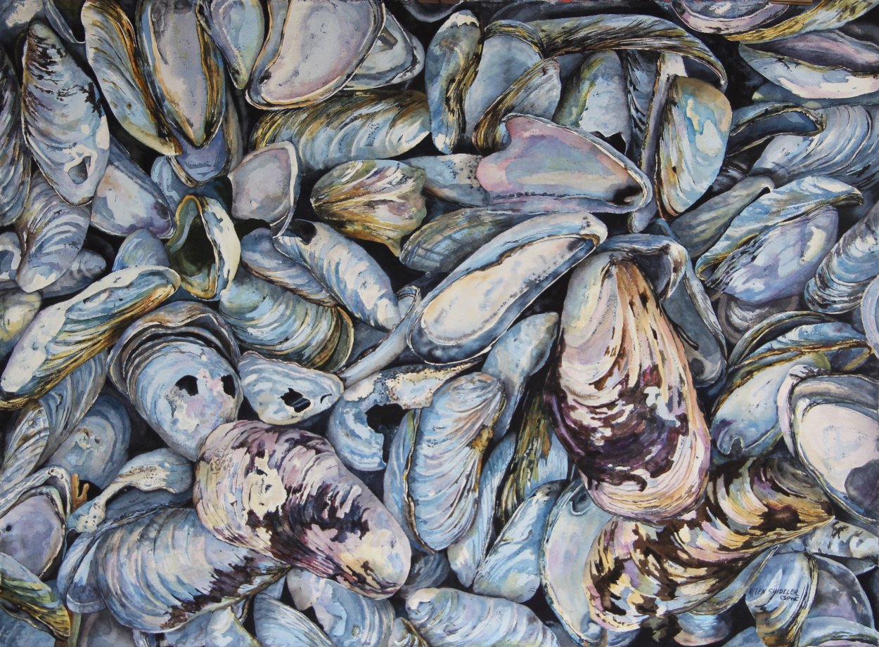 Морепродукты креветки мидии