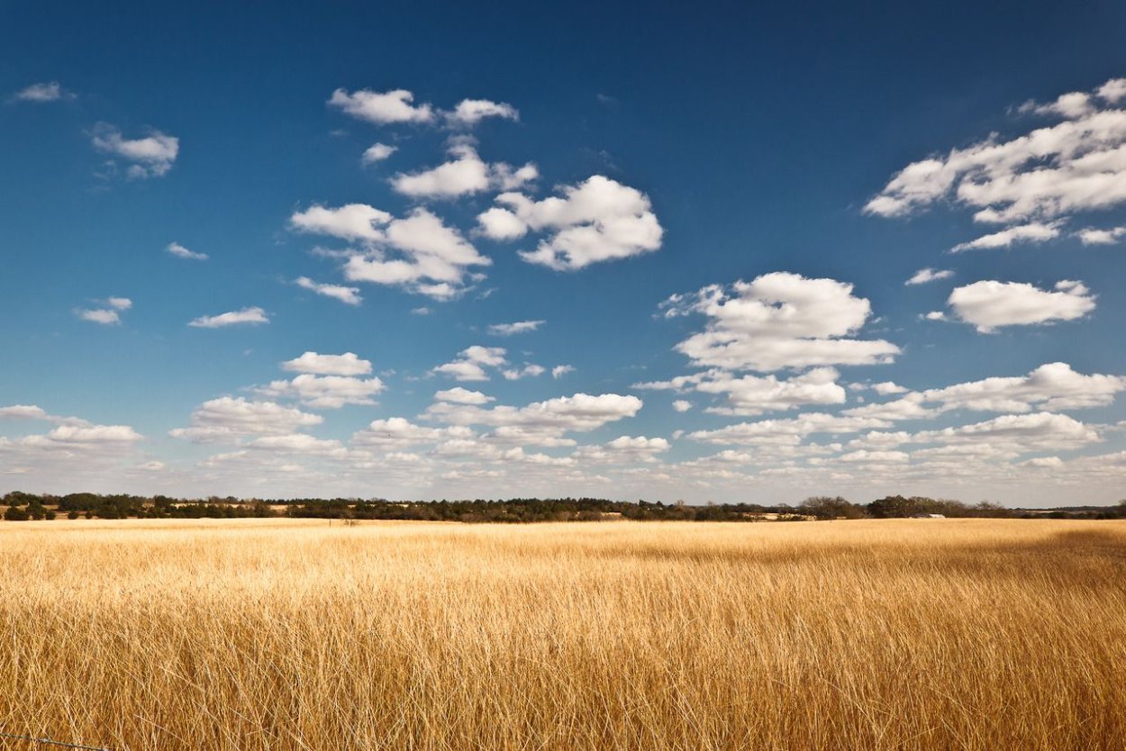 Степь до горизонта