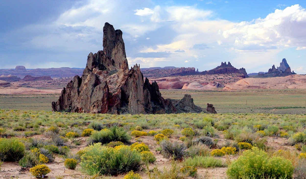 Североамериканская прерия