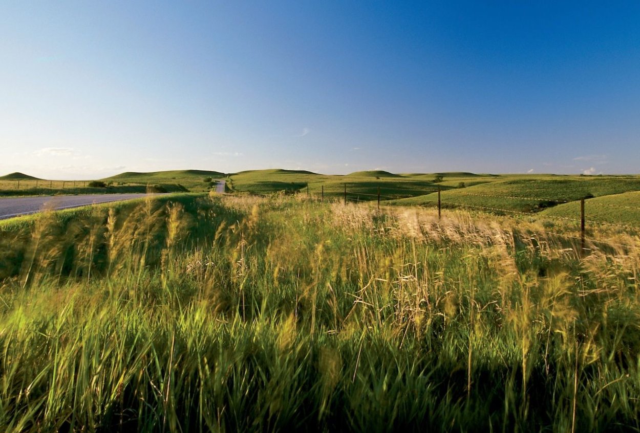 Степи и лесостепи Северной Америки