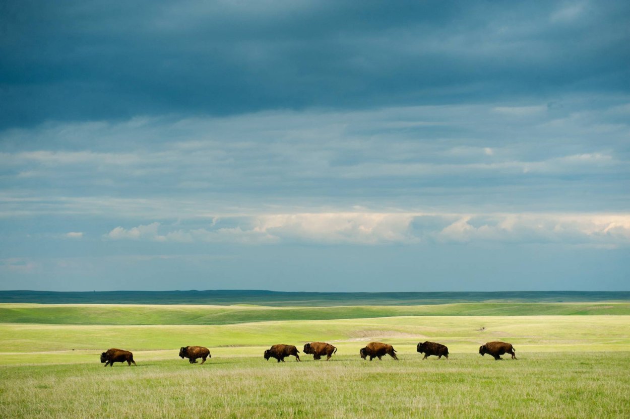 Великие равнины Северной Америки