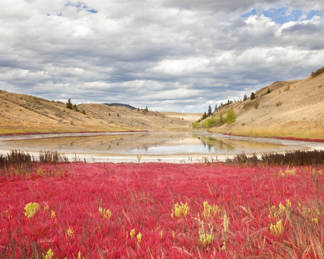 Национальный парк Грасслендс в Канаде