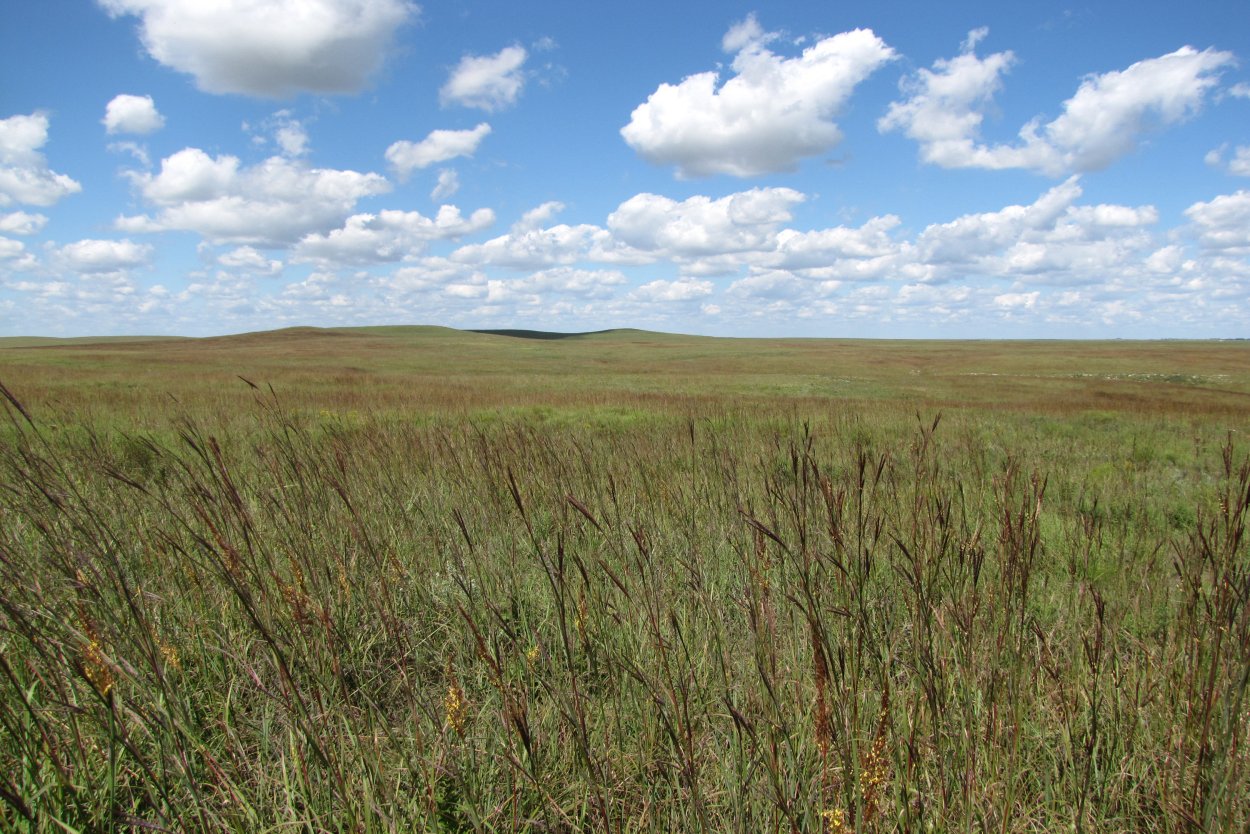 Национальный заповедник Tallgrass Prairie