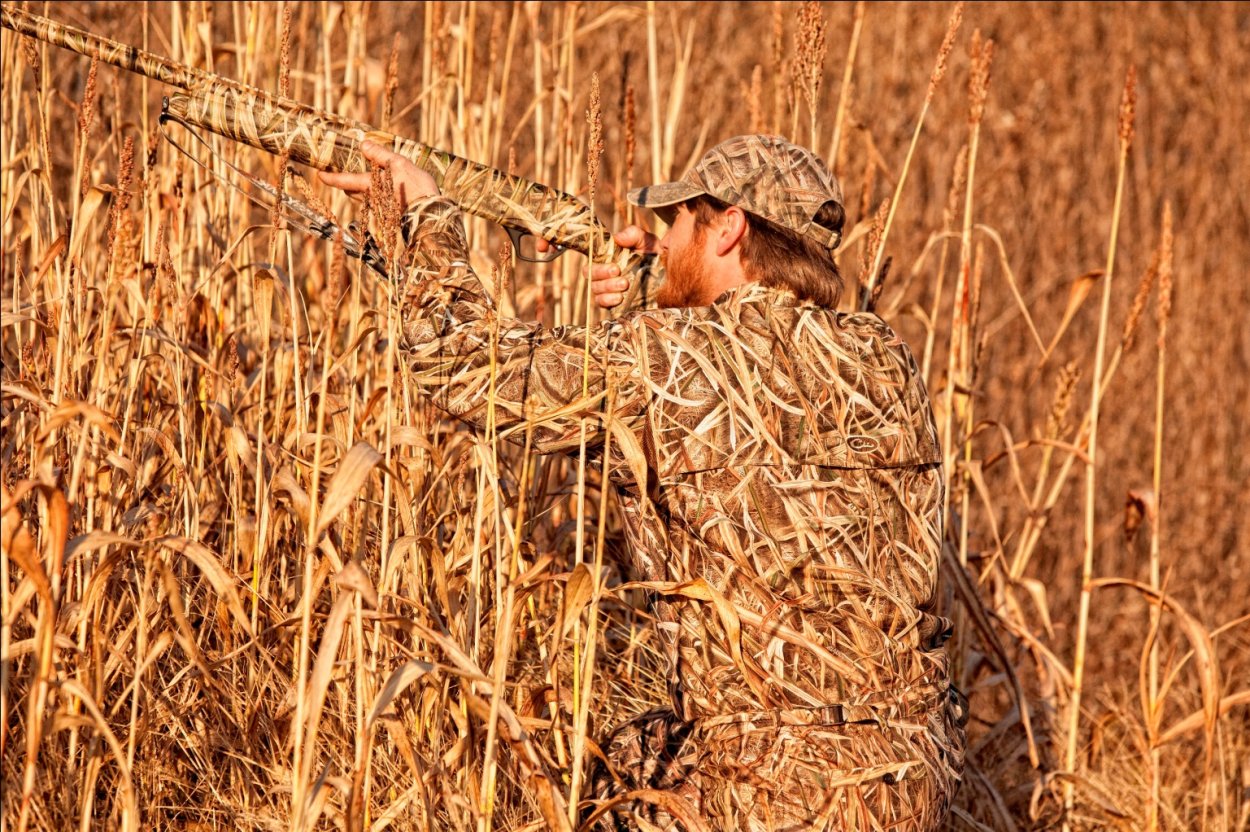 Камуфляж тростник