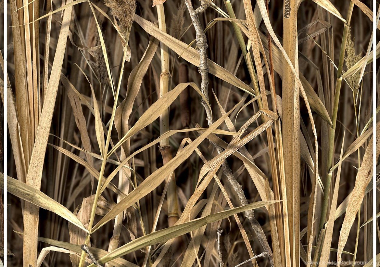 Камуфляж камыш