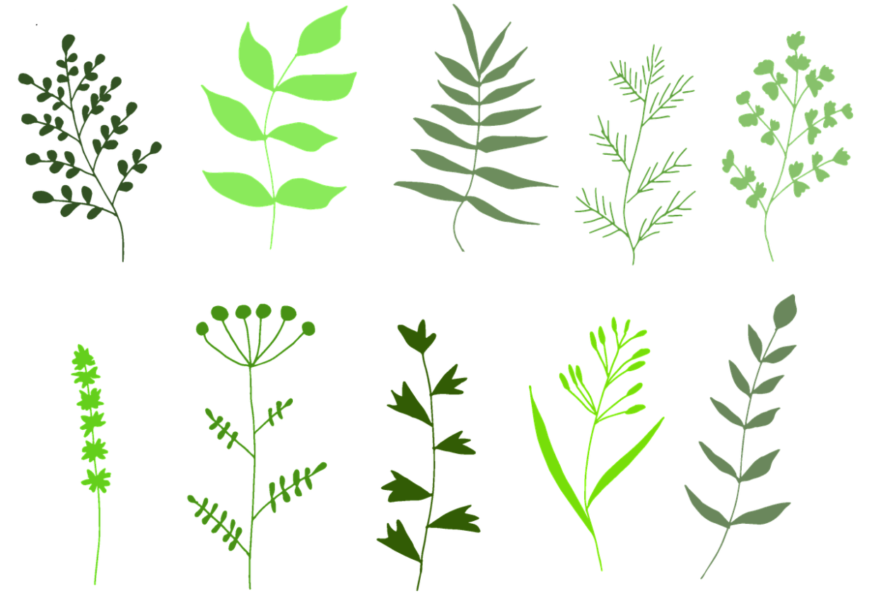 Пряная трава стебли