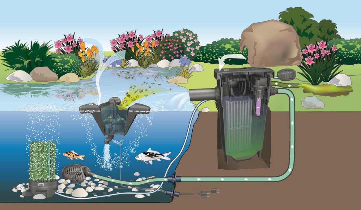 Огородный прудик