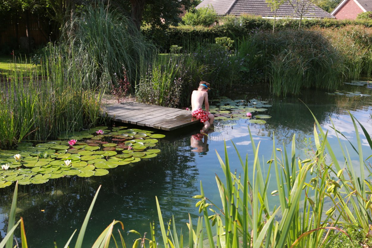 Болото с ряской