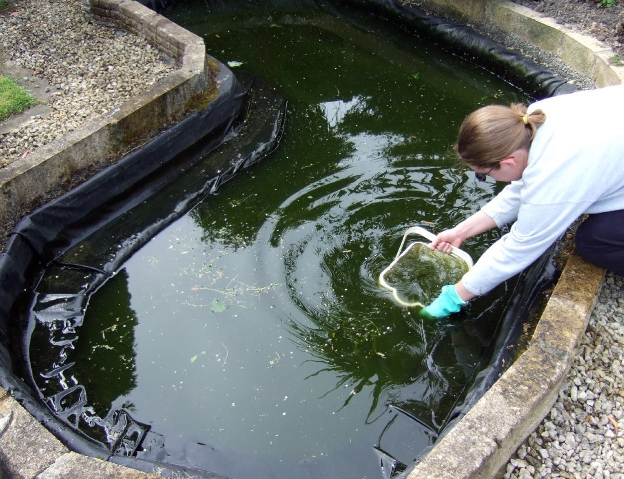 Реки источник пресной воды