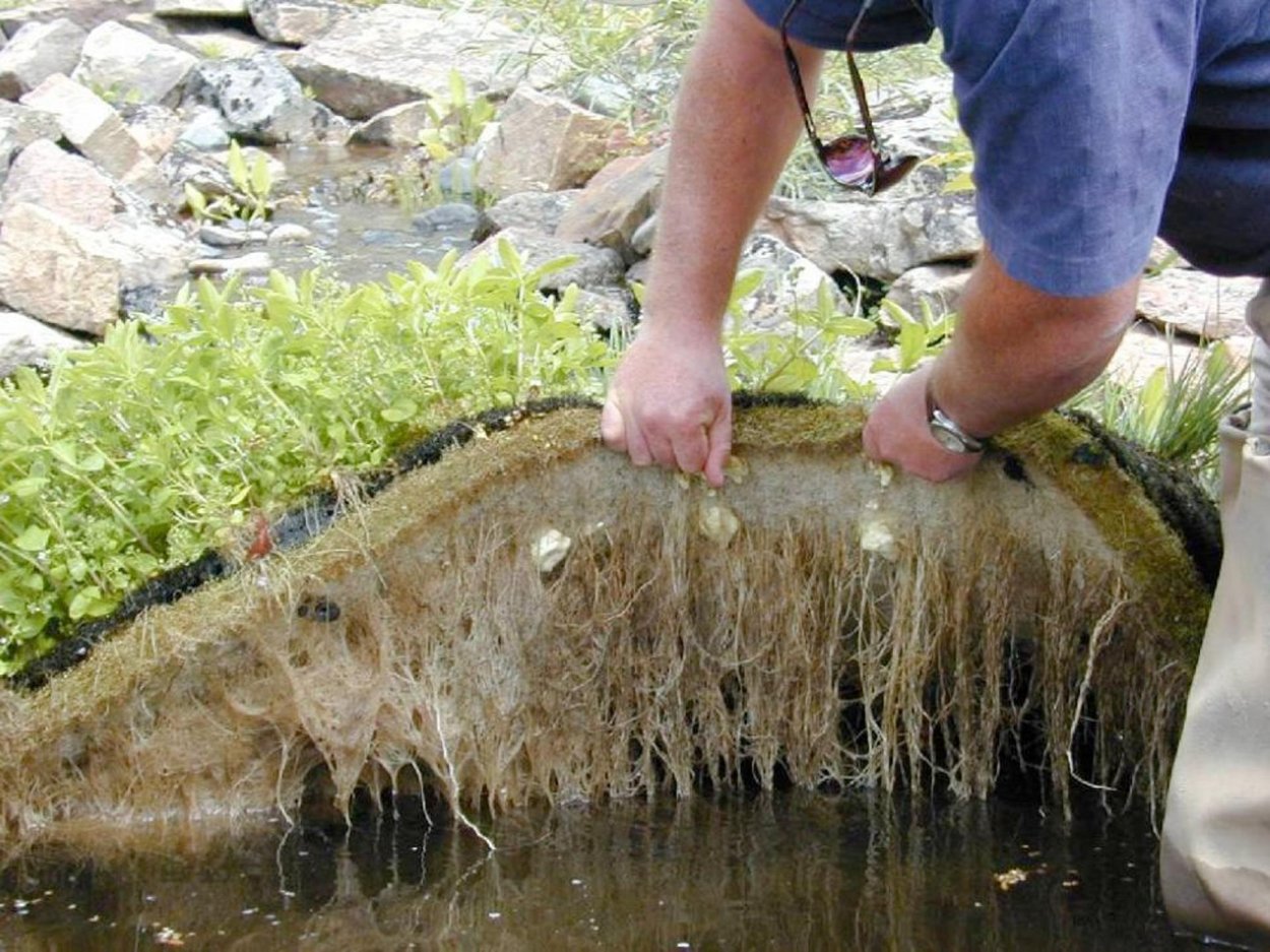 Чистка искусственного пруда