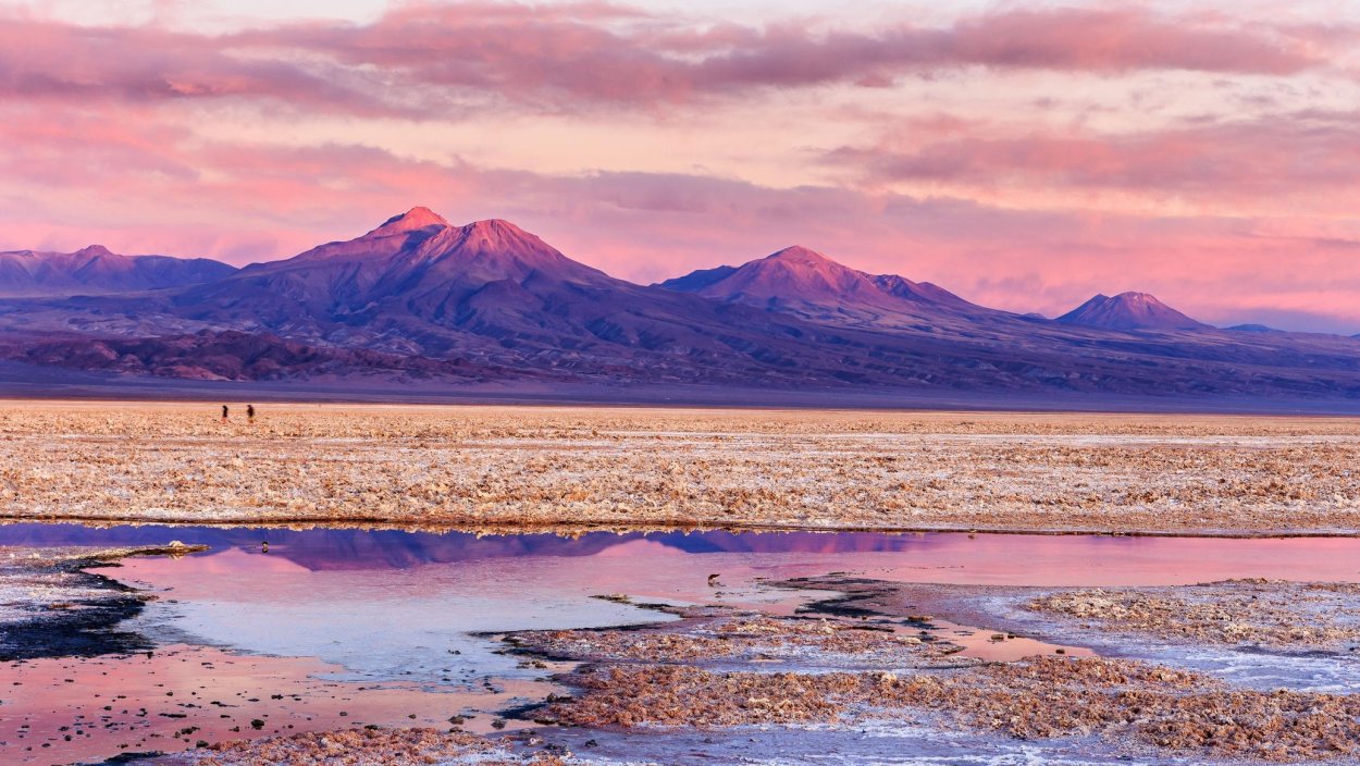 Вальдивские леса в Чили
